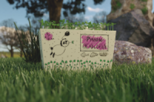 Микрозелень