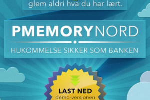 Продвижение сайта PMemoryNord