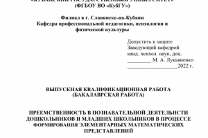 Дипломная выпускная работа.