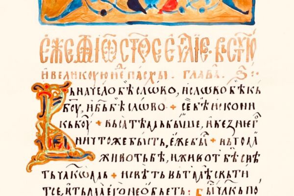 img4512873.png