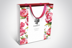 Фирменный стиль Салон красоты