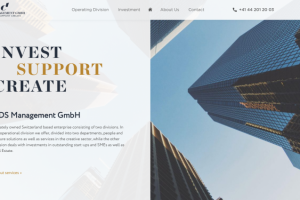 «CDS» — верстка многостраничного сайта под WordPress