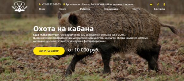 img3131850.png