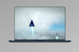 Professional web  and mobile software development