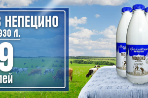 Работа 3181143