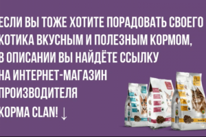 Обзор корма CLAN (рекламное видео)