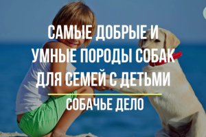 Самые добрые и умные породы собак для семей с детьми