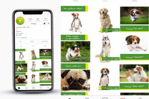 Оформление Инстаграм аккаунта