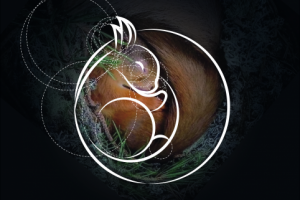 Стилизованная форма