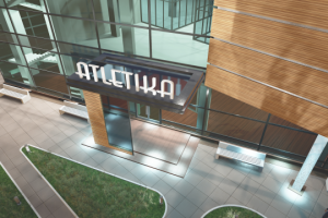 Работа 3167076