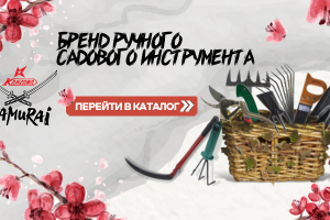 Баннеры для витрины магазина