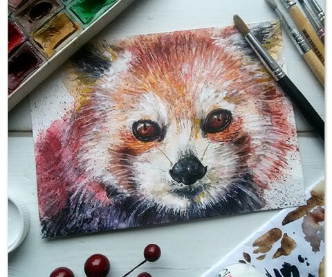 img3049926.png