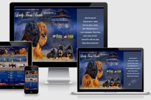 ПИТОМНИК ТИБЕТСКИХ МАСТИФОВ КИТАЙСКИХ ЛИНИЙ