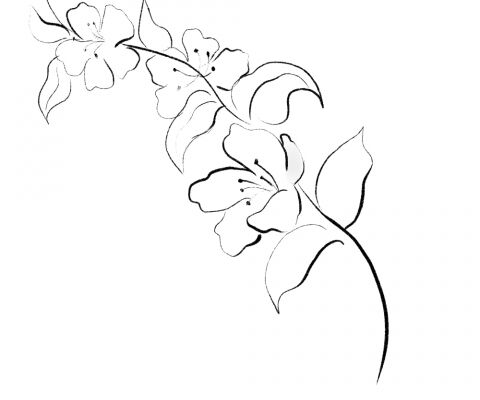 img4427960.png