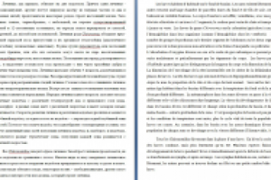 Бактериология