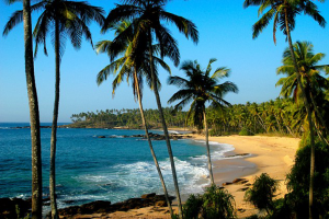 Рекламный текст - Презентация отеля (Шри-Ланка)