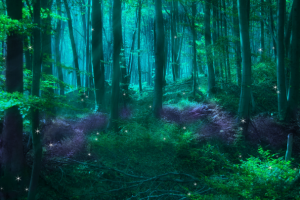 Фантастический рассказ