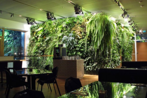 Фитоосвещение