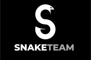 Логотип для киберспортивной организации