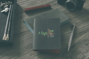 Логотип для магазина игрушек+нейминг