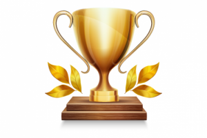 Мои достижения