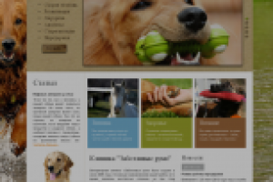 Ветеринарная клиника "Заботливые руки"