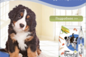 Баннер для онлайн-зоомагазина