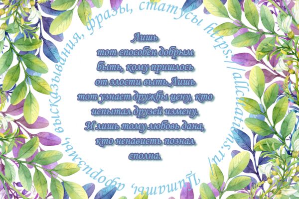img4500283.png