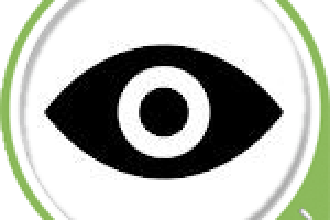 Версия для слабовидящих