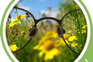 Улучшенная версия для слабовидящих