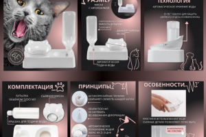 Дизайнер инфографики для маркетплейс