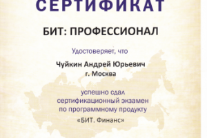 Профессионал по Бит.Финанс