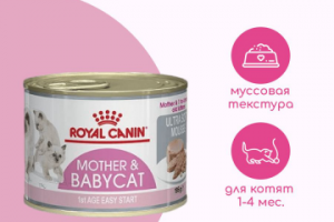 Инфографика для товаров на WB