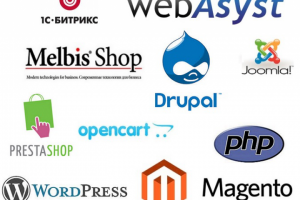 Работаю со всеми популярными CMS