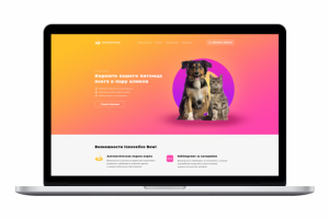 Стартап «Innovative Bowl»