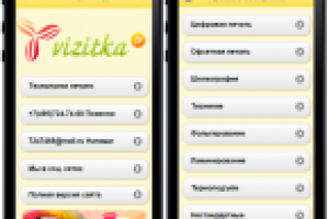 Дизайн и адаптивная верстка сайта визитных карточек vizitka.tv