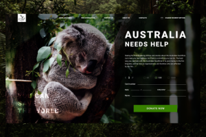 Дизайн сайта Help Australia