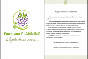 Свадебный планировщик для невест (заказ от студии свадеб)