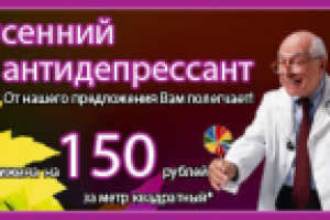 Баннер для компании Sofito