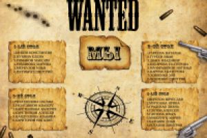 Схема рассадки на свадьбу "Вестерн"