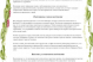 Японская диета для эффективного похудения