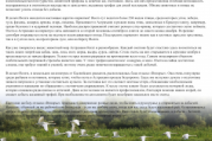 База отдыха "Взморье"