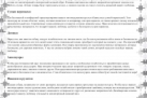 Описание товаров для собак