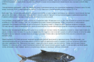 Масляная рыба или эсколар