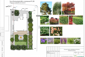 Благоустройство участка