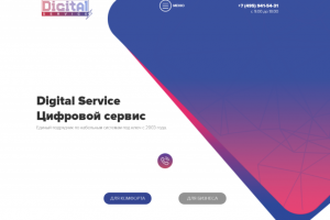 Сайт компании Digital Service