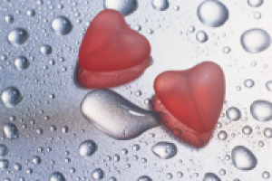 Работа 2232046