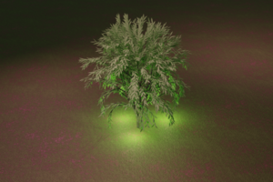 NFT 3