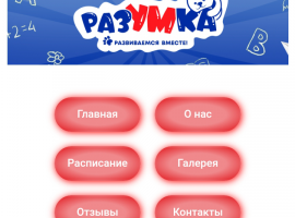 Сайт Детского развивающего центра Разумка г.Казань