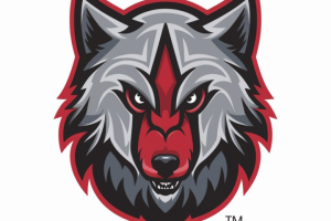 лого для хокеиной команды